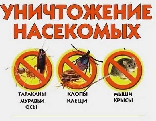 Дезинфекция Уничтожение Клопов. и Тараканов. Мышей ос. крыс блох.