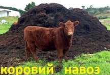 Навоз егінге қара топырақ чернозем сатылады