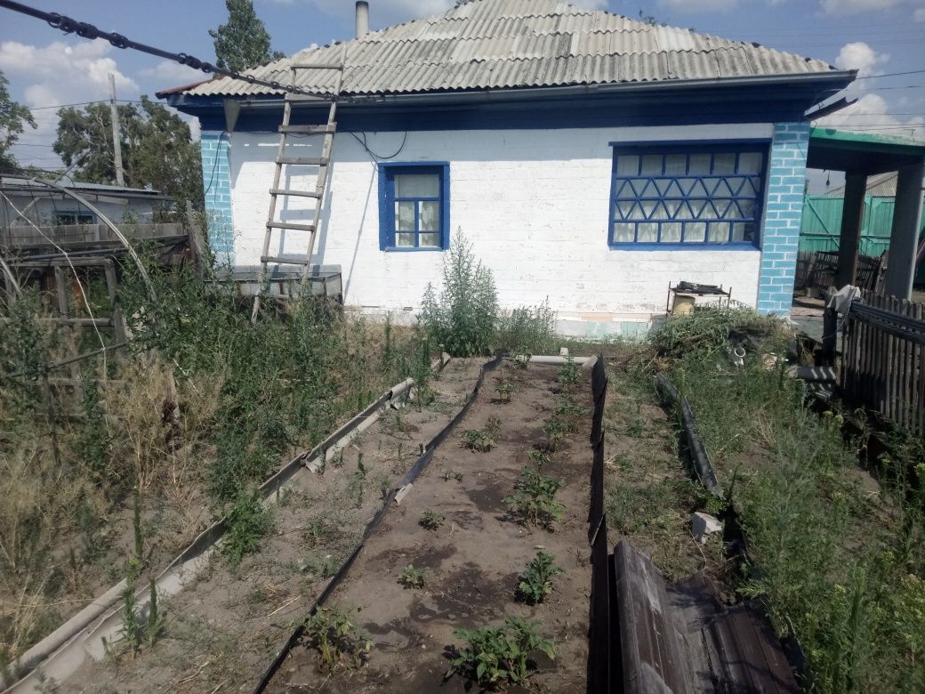 Частный дом в деревне