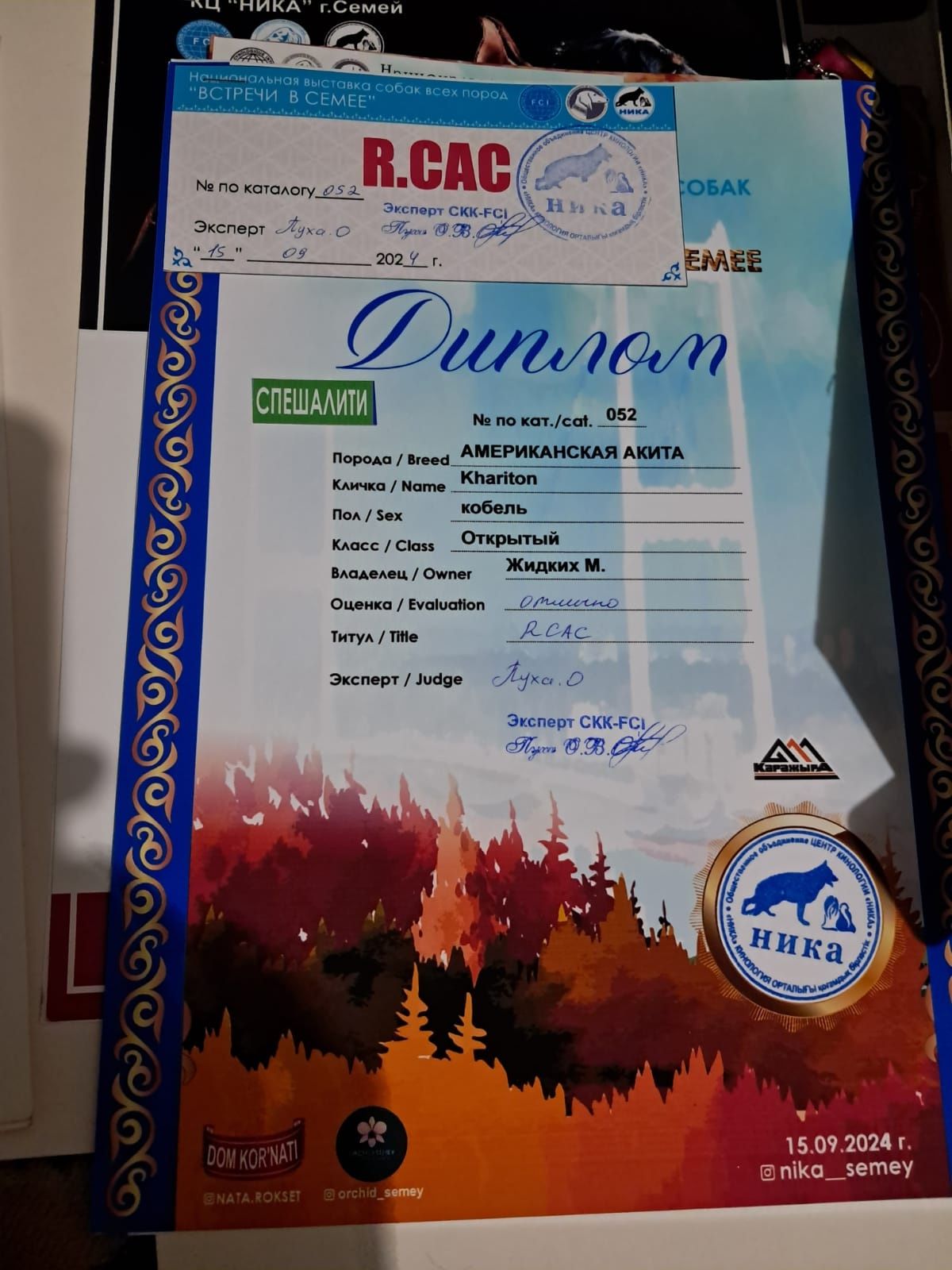 Породный кобель для вязки