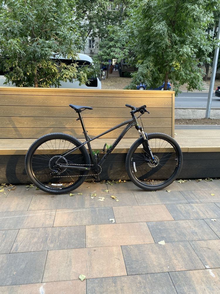 Cannondale trail 5 2024