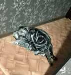 Опытный кот скоттиш страйт