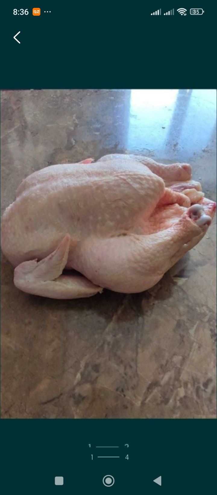 Продам мясо бройлера