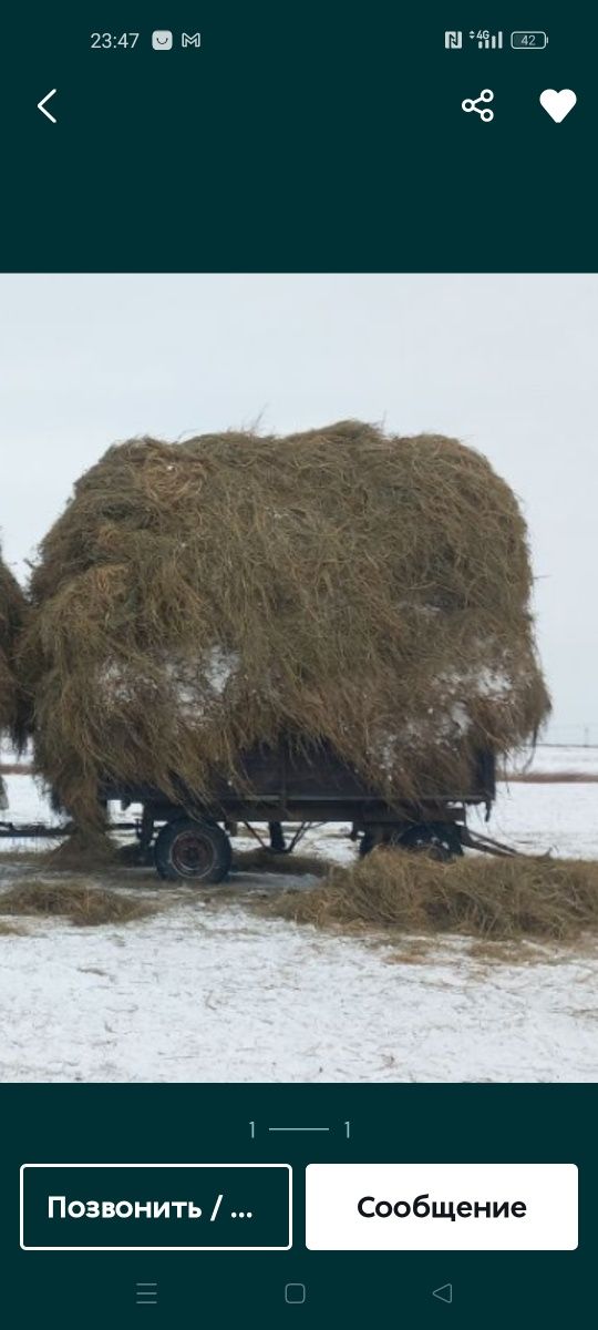 Продам сено луговое