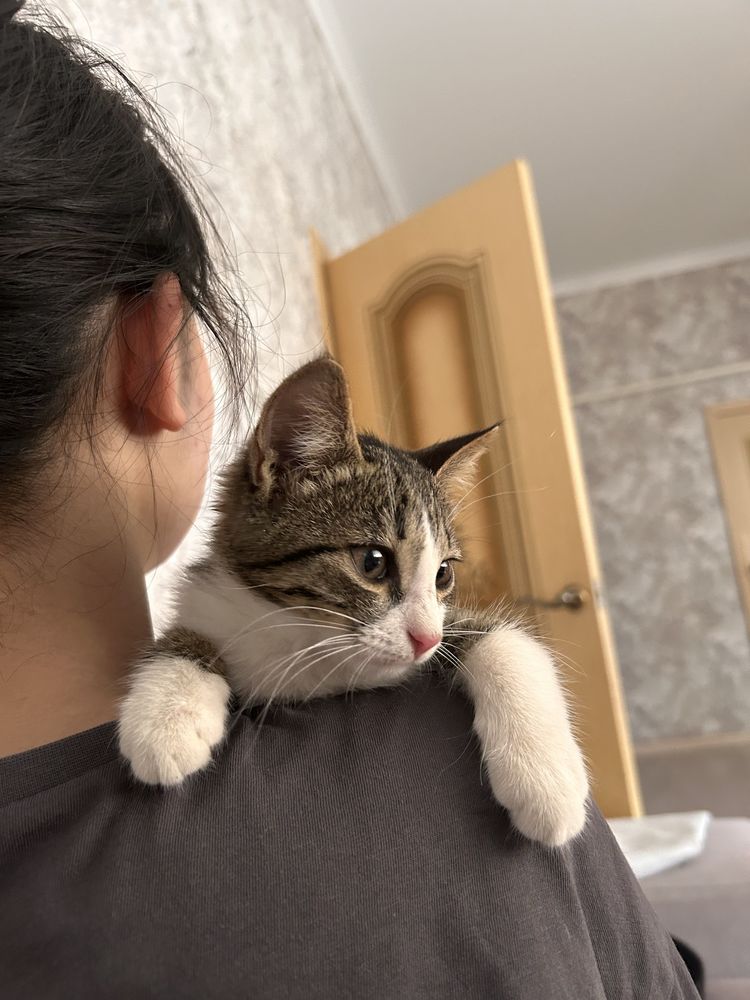 черно белая девочка