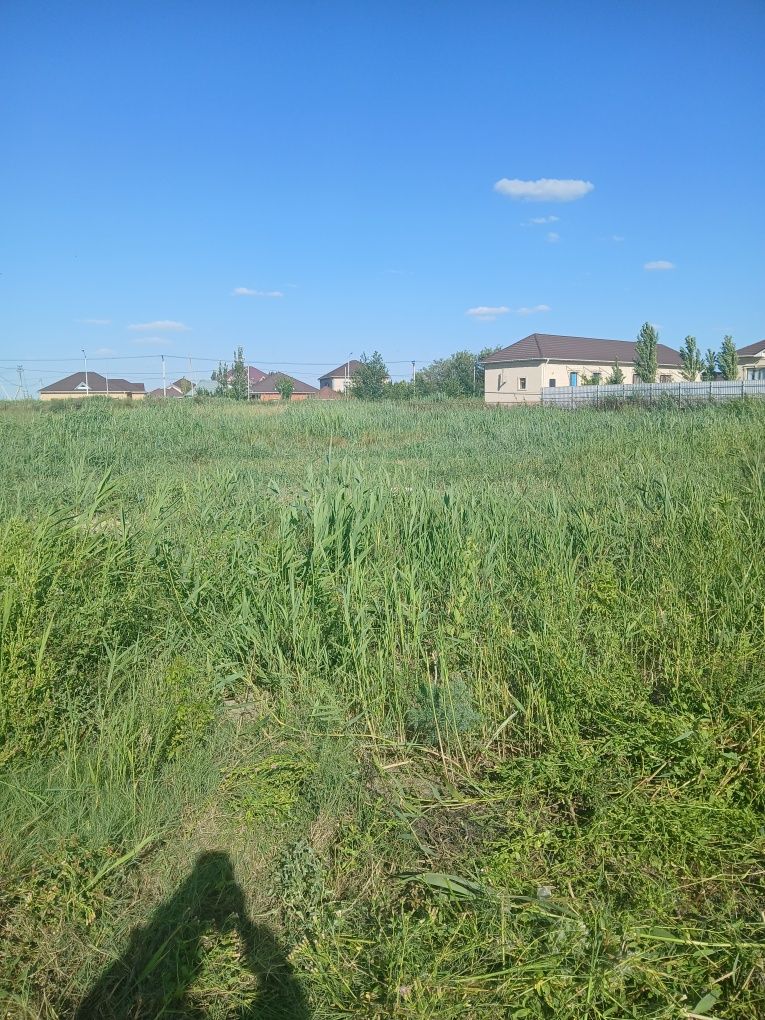 Тегін орып алып кетіндер. Хабарласындар