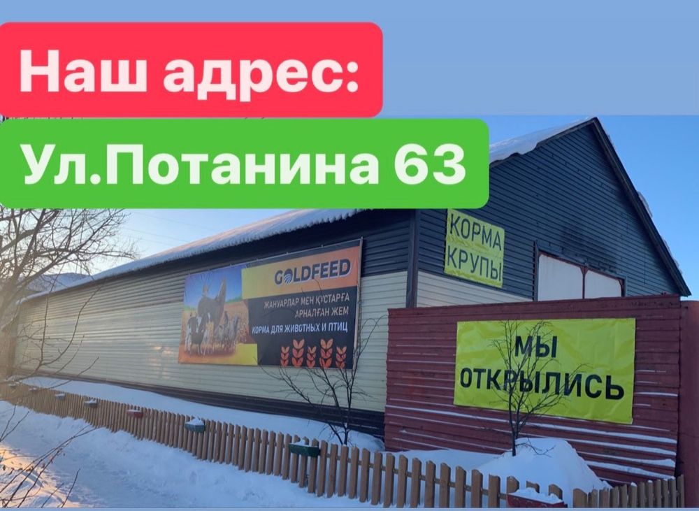 Семечки для птиц