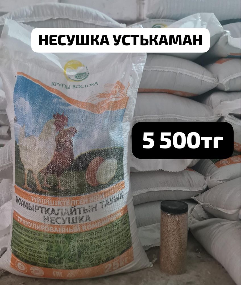 комбикорм "Несушка Устькаман" для кур-несушек.