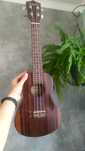 Укулеле концерт Canwood