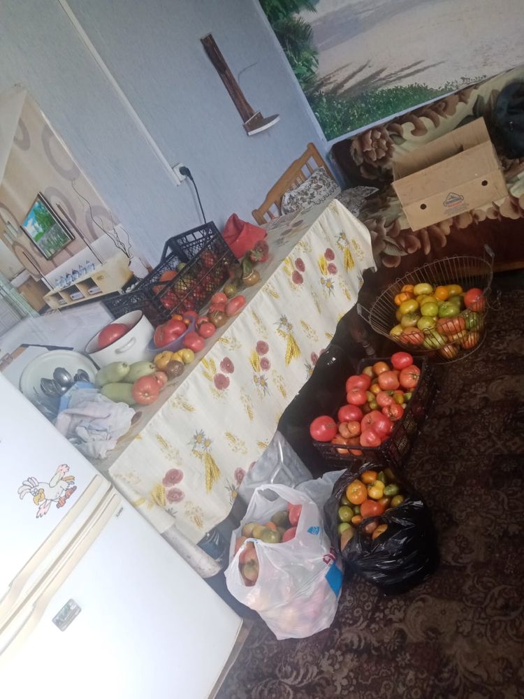 Продам дачу с насаждениями