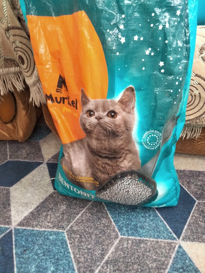 Продам все для кошек