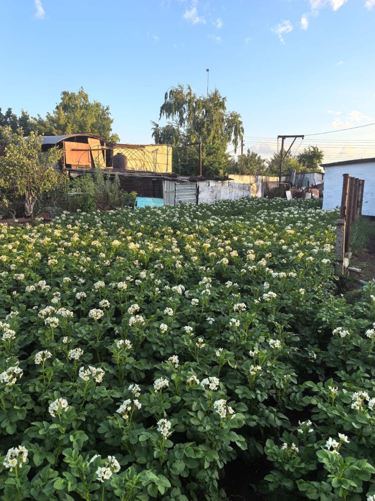 Продам дом С.Центральное