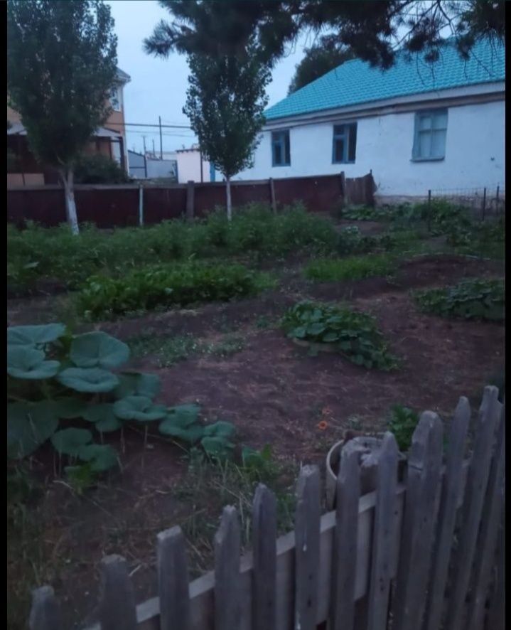Продам дом в с.Новом .