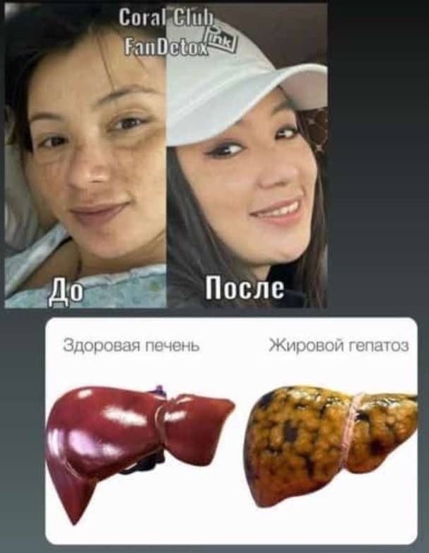 Fandetox для лечения печени, бауыр емдеуге