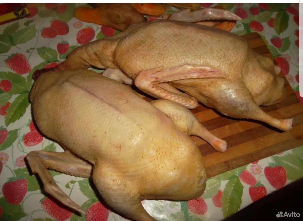Мясо домашних мясных уток мулард гусей, индауток, петушков, гусей