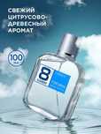 Туалетная вода духи парфюм для мужчин 8 Element 100 мл