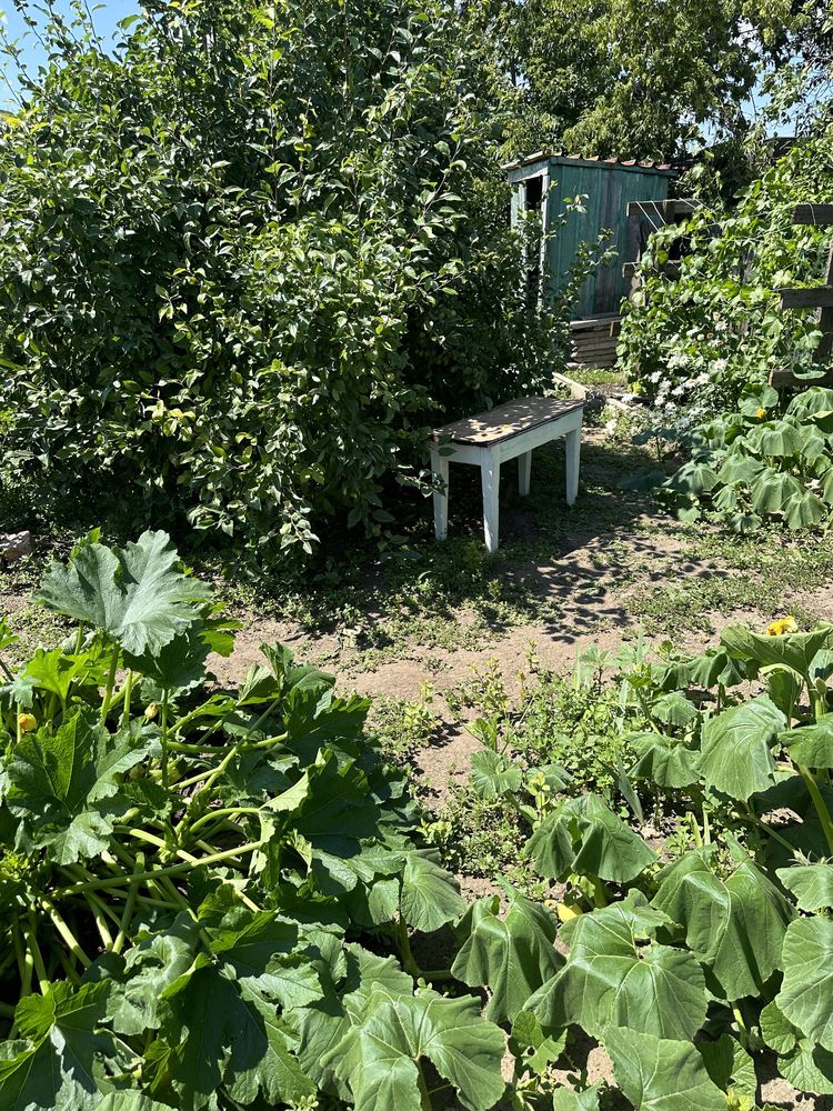 СРОЧНО Продам дачу грп Энтузиаст