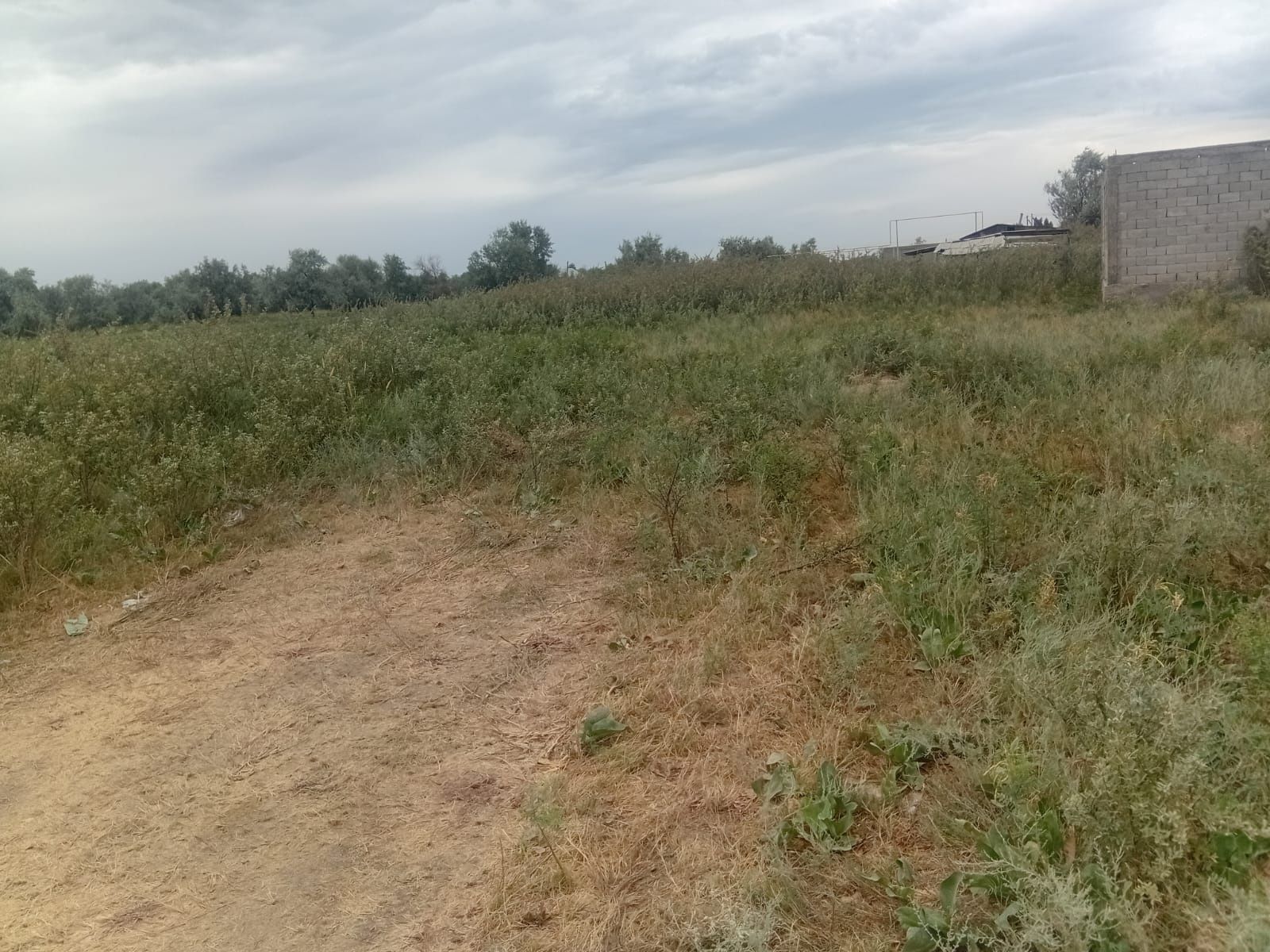 Продам участок земли в селе Еламан