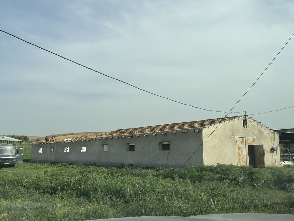 Лай кірпіш кирпич қыш кыш