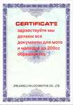 делаем все для мопедов и мото 200сс