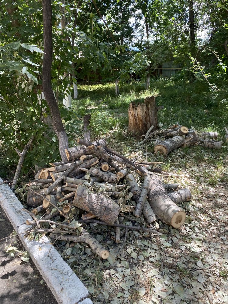 Отдам дрова бесплатно (примерно 1 газель)