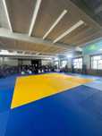 Груши татами маты от производителя Batyr Sport