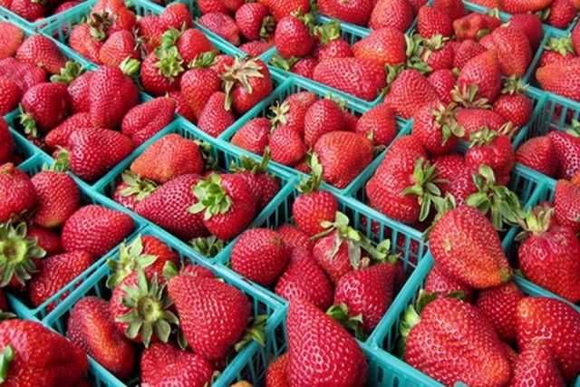 Продам рассаду клубники Лорд,Зенга, Ремонтантная адрес селекционный