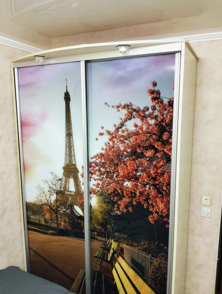 Шкаф купе с рисунком