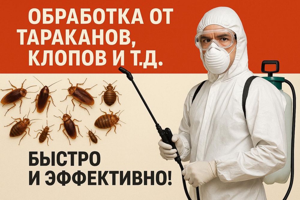 Дезинфекция от тараканов