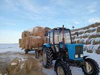 Продам рулон сено