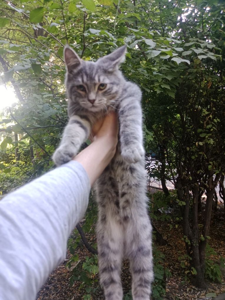Малышу нужен дом