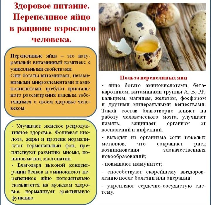 Яйцо перепелиное