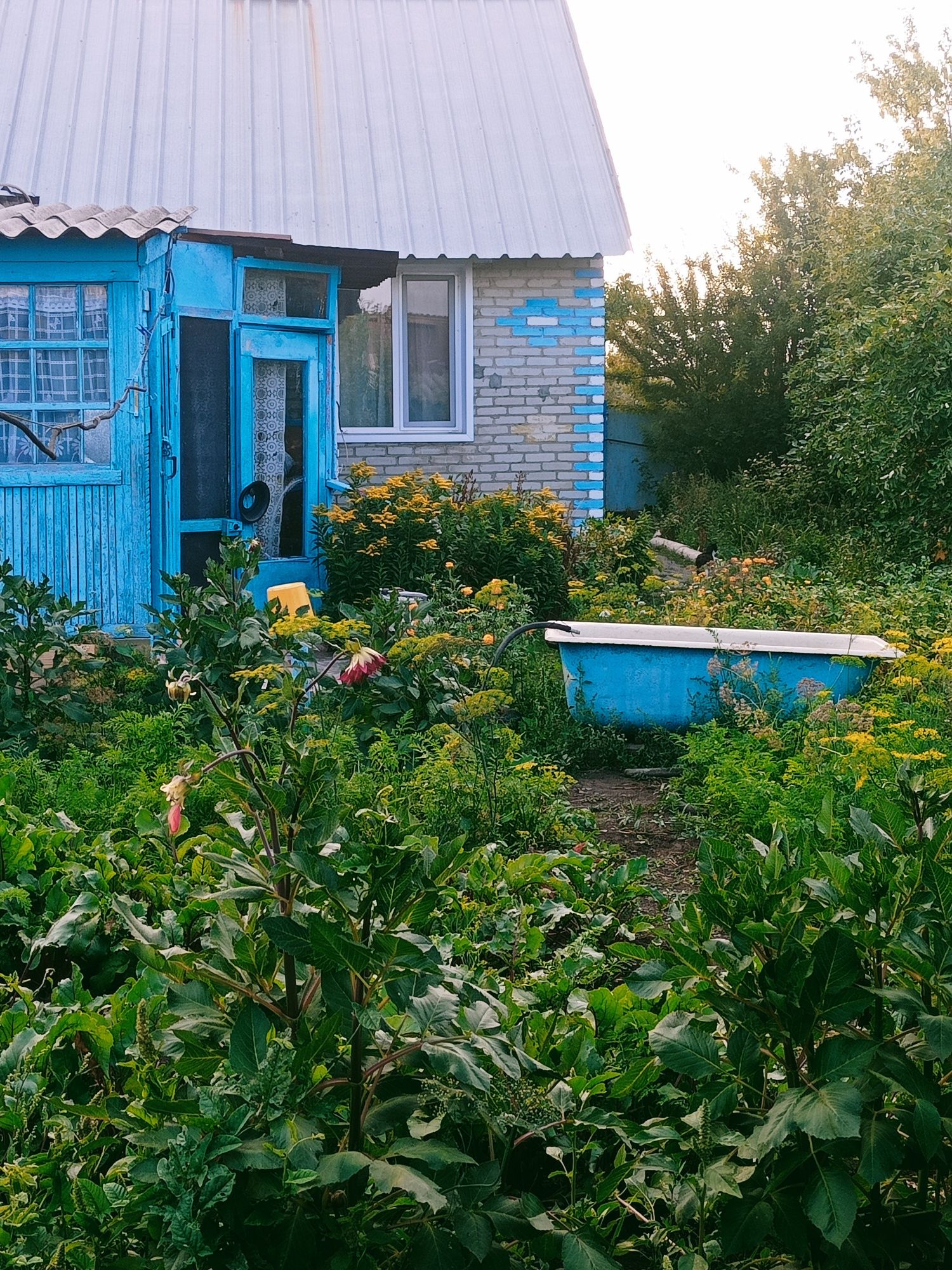Продам дом в пригороде п. Майколь