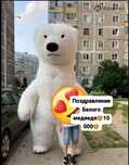 Поздравление от белого медведя мишки