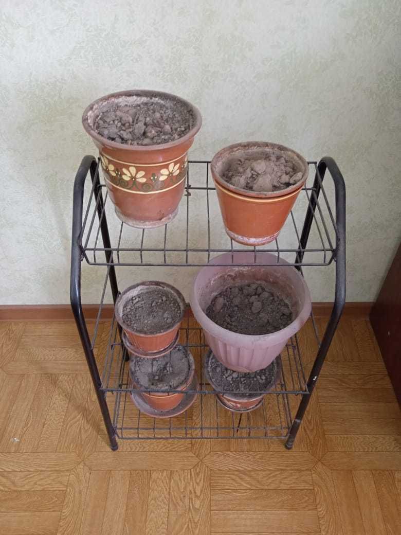 Цветочные горшки c грунтом