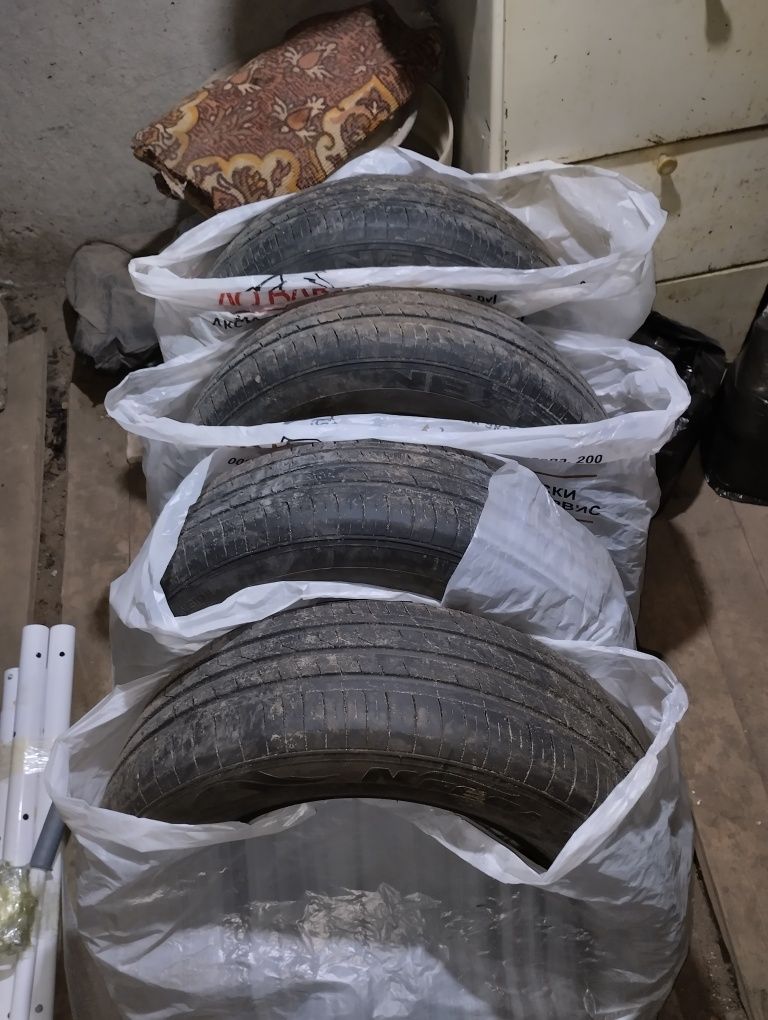 Продам резину Nexen
