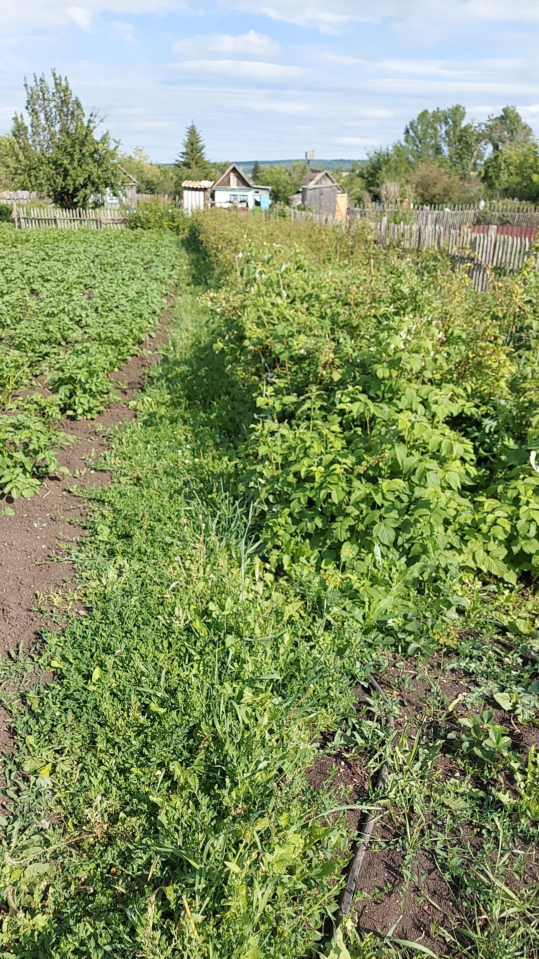 Продам дачу по ул  Березовая