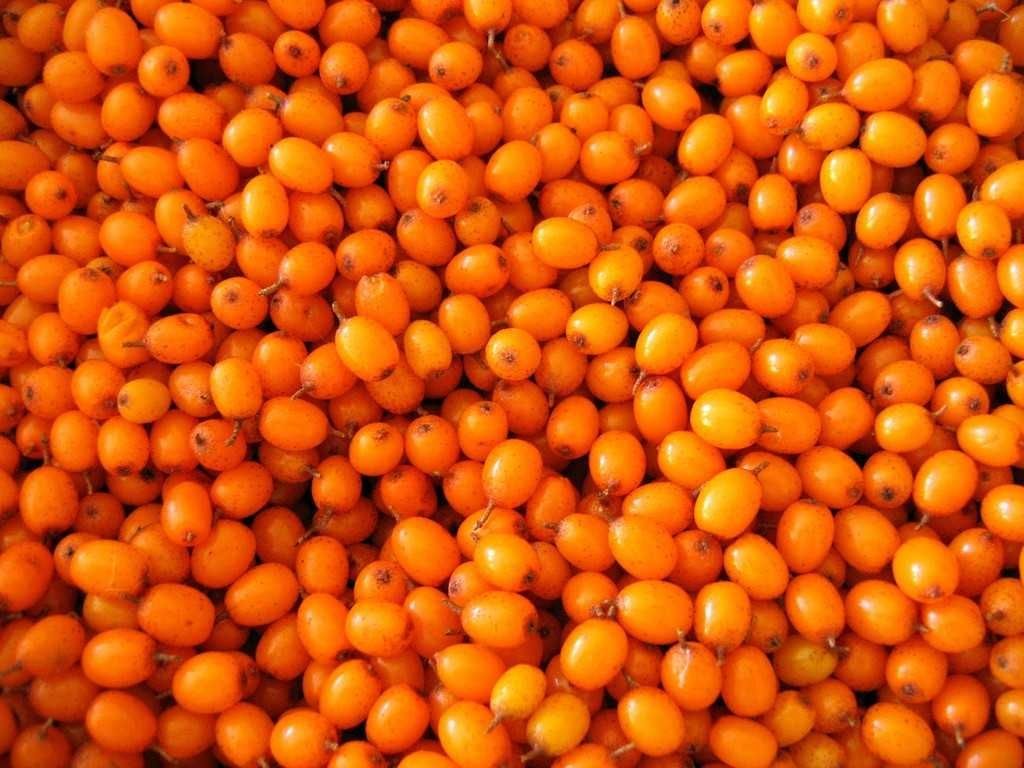 Манго, Маракуйя, ягоды замороженные