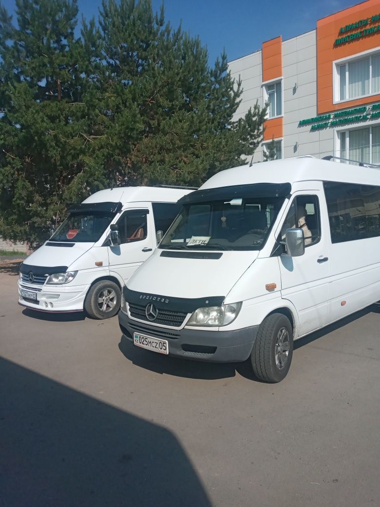 Пассажирские перевозки