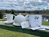 Турецкий детокс чай Wendy detox