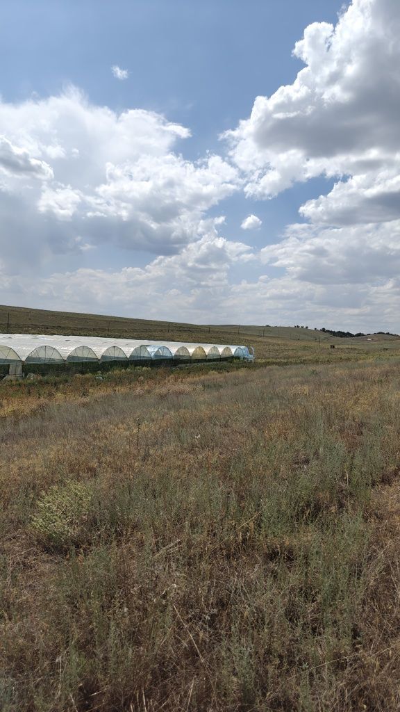 Теплица  каркас  на  1. Гектар
