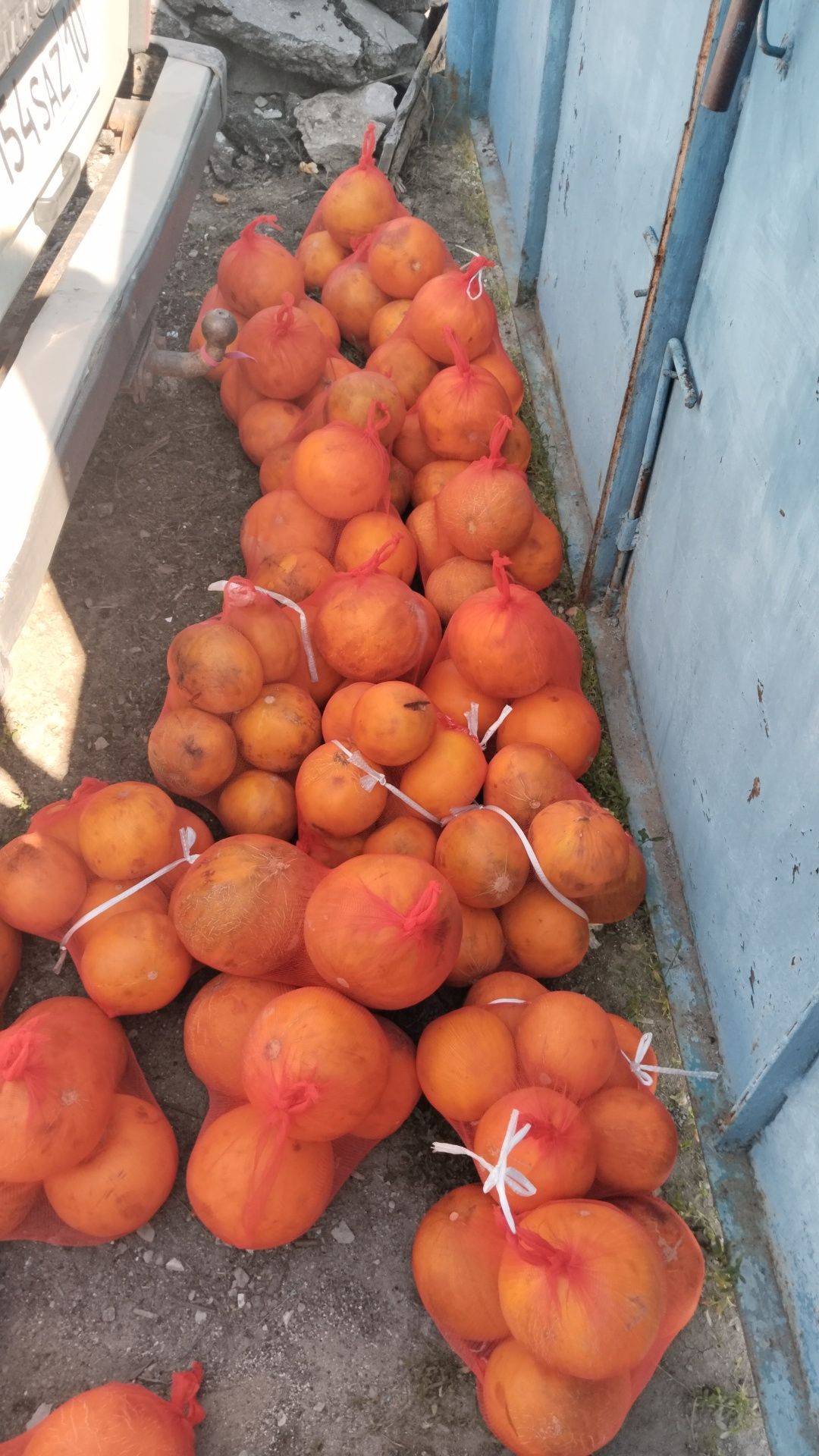 Продам дыни Щуские сочные свежий завоз только привезли