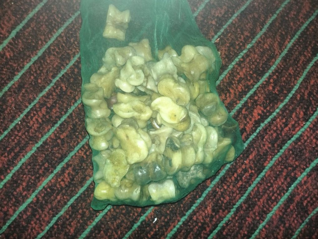 Сәлеметсізбе мына асық сатылады