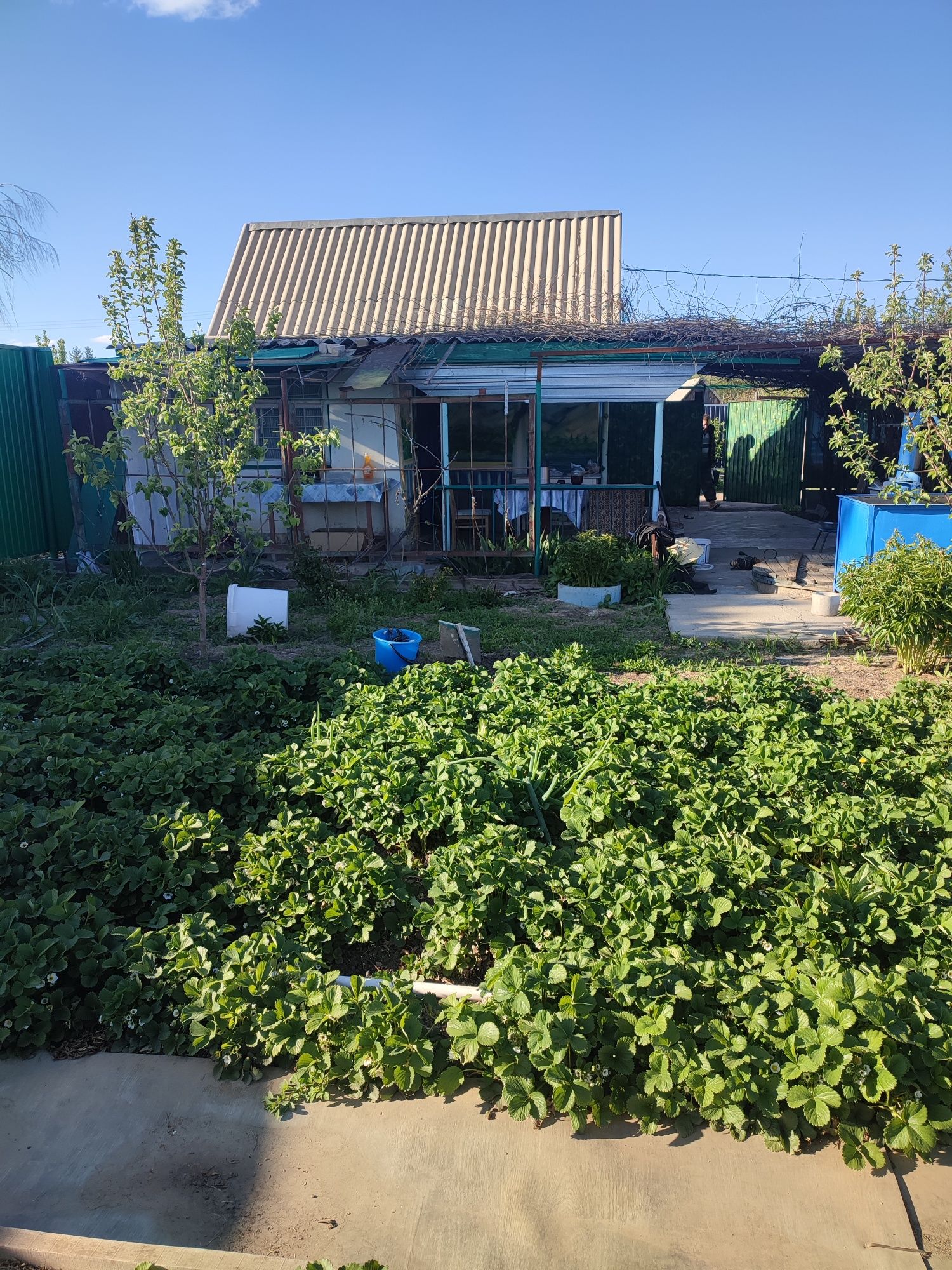Продам дачу с ИЖС
