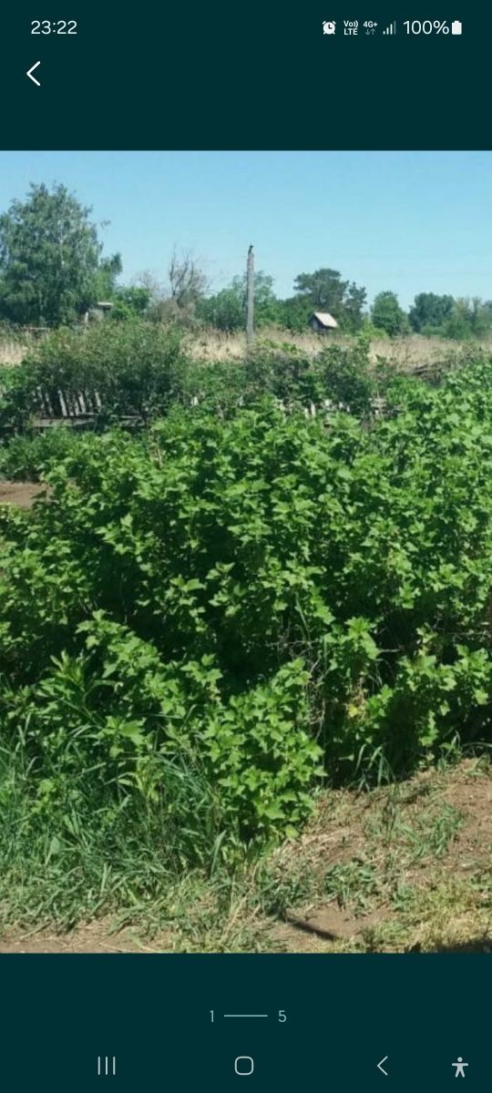 Продам дачу на СПП