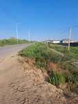 Карауылтобе жер сатылады