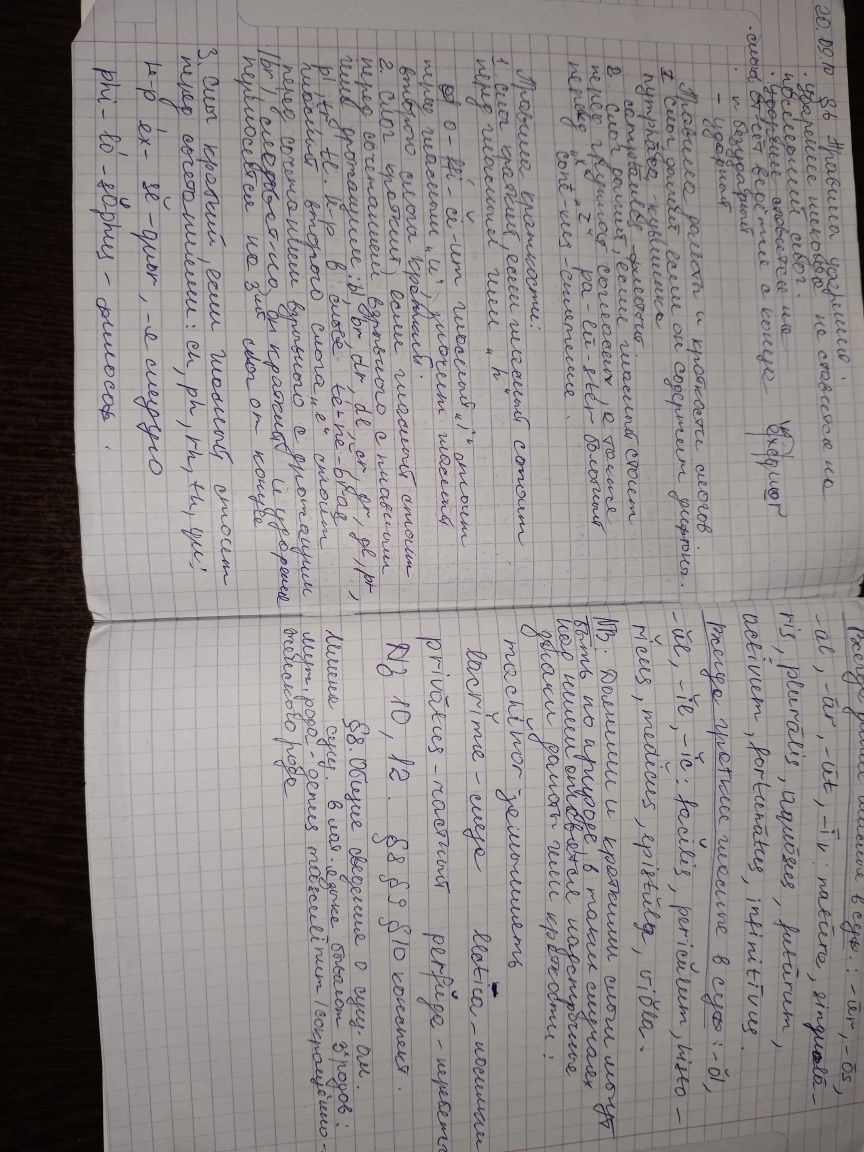 латинский тетрадь с лекциями из колледжа