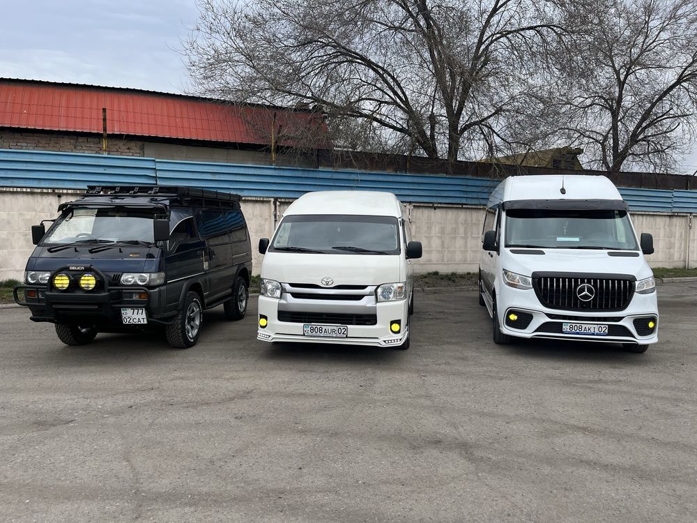 Аренда микроавтобуса, спринтер VIP салон, Mercedes-Benz Sprinter, Хайс