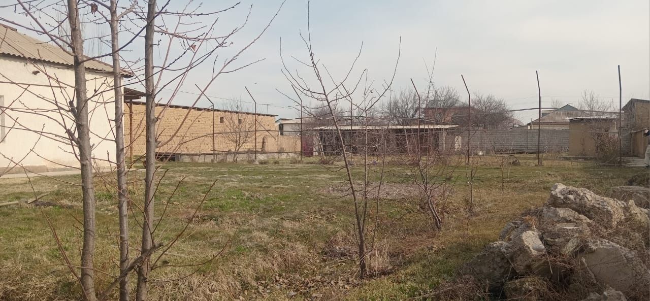 Уй сатылады Сарыагаш Карылмакыс