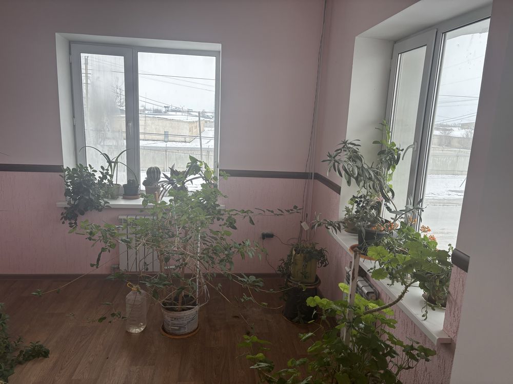 офисные помещения в аренду